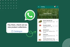 A WhatsApp screen displays a grocery catalogue with product listings and prices; a message bubble promotes new product collections with a "Catalogue" link.’